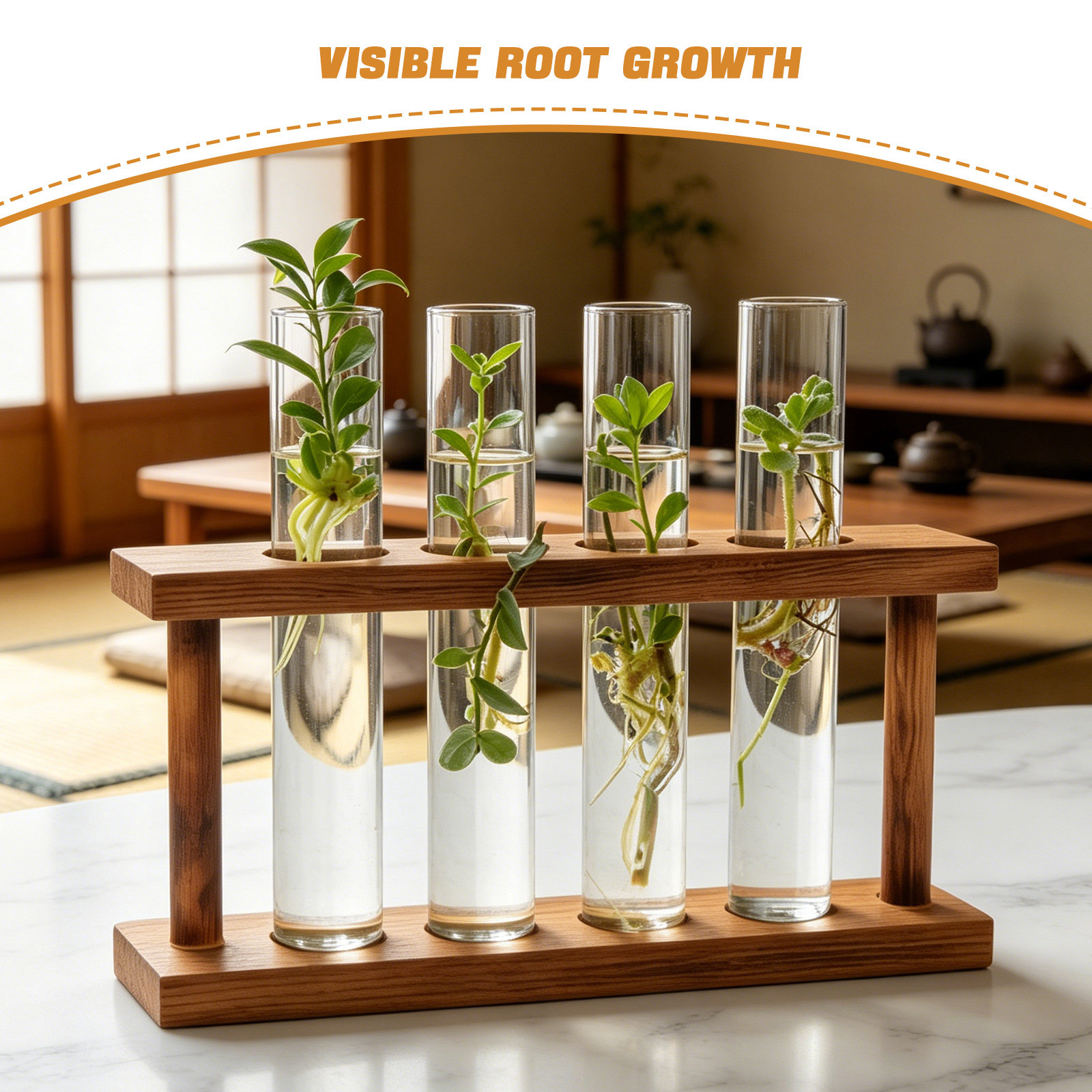 محطة تكاثر النباتات الخشبية، ح - مراجعة Propagation Station Vase وسعره