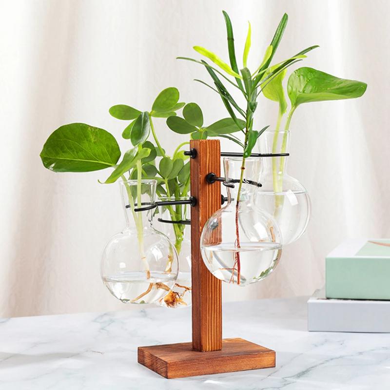 تررم مع حامل تررم زارع لمبة زج - مراجعة Propagation Station Vase وسعره