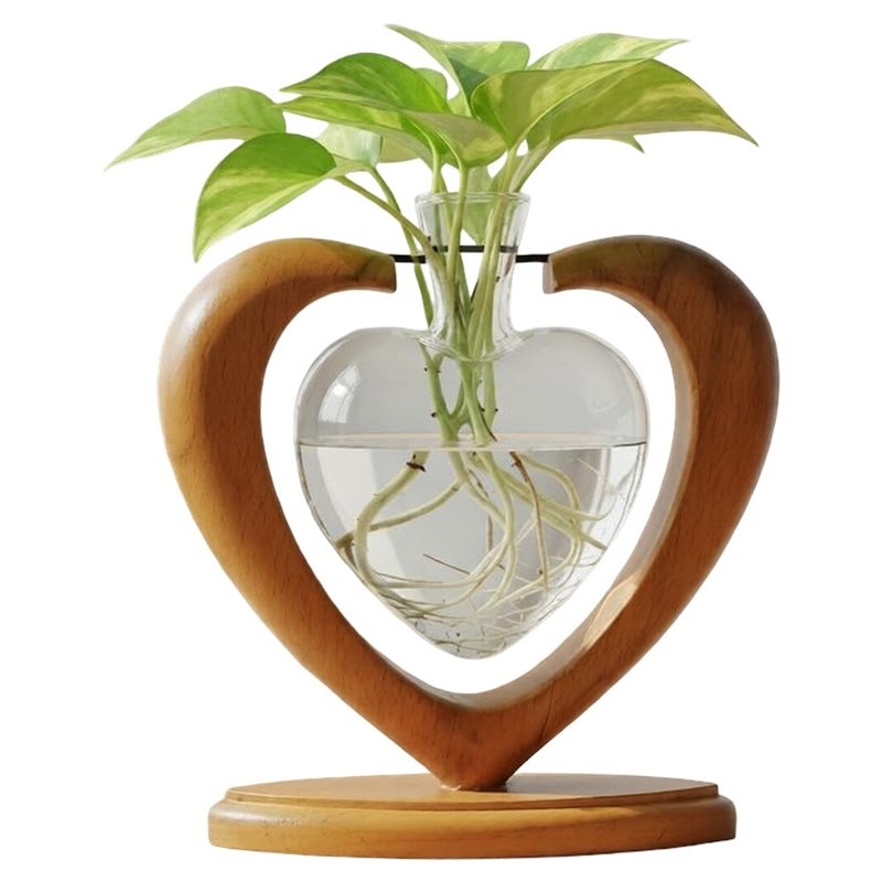محطة تكاثر النباتات IALJ، حامل - مراجعة Propagation Station Vase وسعره