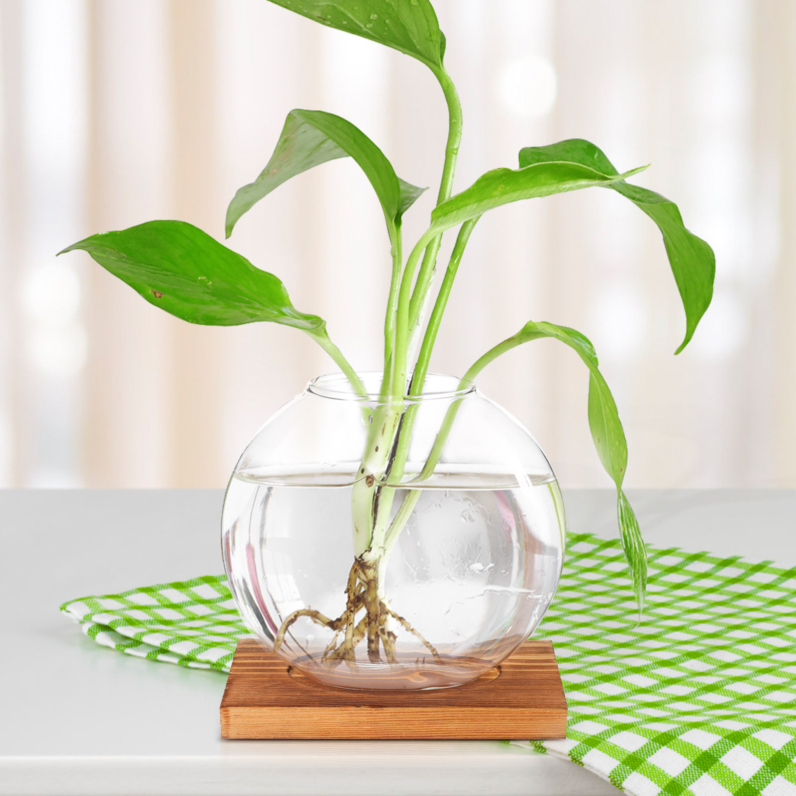 مزهرية زجاجية هيدروبونية بقاعد - مراجعة Propagation Station Vase وسعره