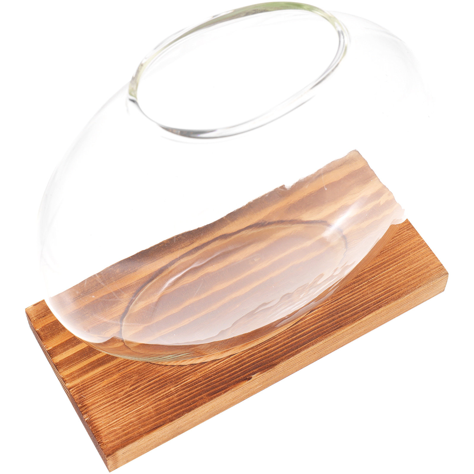 مزهرية زجاجية هيدروبونية بقاعد - مراجعة Propagation Station Vase وسعره