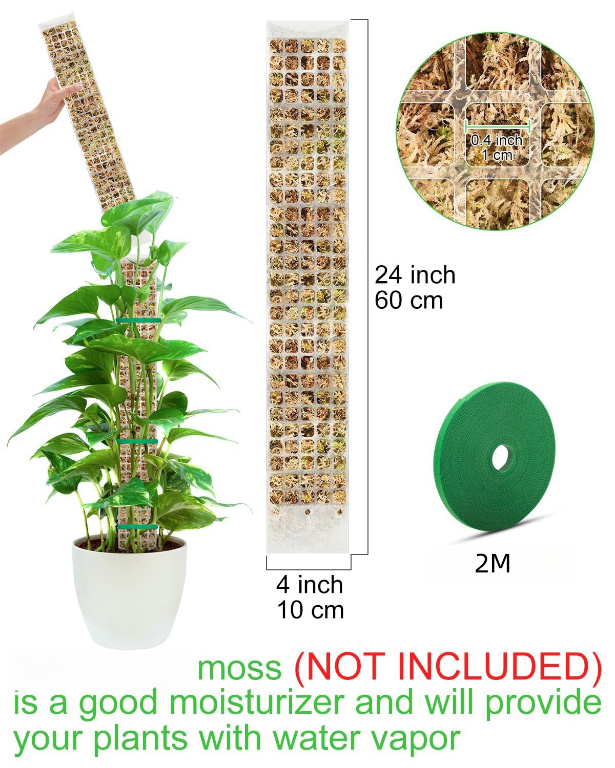 النباتات الطحلب القطب حديقة ال - مراجعة Sphagnum Moss Dry وسعره